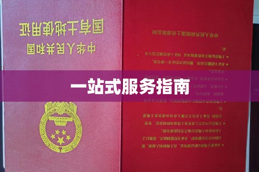 邯山一站式服务指南