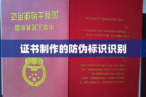 邯山证书制作的防伪标识识别