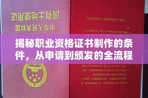 邯山揭秘职业资格证书制作的条件，从申请到颁发的全流程解析