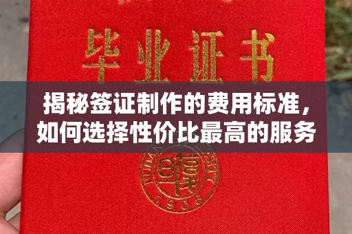 邯山揭秘签证制作的费用标准，如何选择性价比最高的服务？