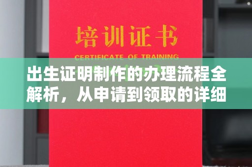 邯山出生证明制作的办理流程全解析，从申请到领取的详细指南